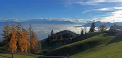 Rustikale Schönheit: Die Herbstnebel garnieren das schöne Rheintal, gesehen von St. Anton aus. (Bild:Walter Schmidt)