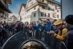 Am Sonntag hatten sich 103 Männer und 10 Frauen angemeldet. Einer Frau ist der siegreiche Schlag bislang noch nie geglückt. (Bild: Pius Amrein (Sursee, 11. November 2018))