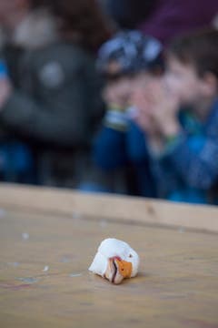 Da war's geschehen: Der Kopf der Gans ist ab. (Bild: Pius Amrein (Sursee, 11. November 2018))
