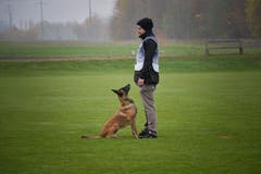 Weinfelden TG , 10.11.2018 / Schweizer Hundemeisterschaften in Weinfelden