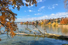 «Martini-Sömmerli» in Luzern. (Bild: Gildo Moscatelli, 12. November 2018)