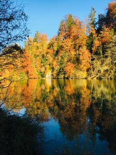 Herbst am Wichelsee zwischen Sarnen und Alpnach. (Bild: Beatrice Merz, 12. November 2018)