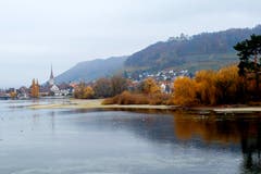 Das bunte Laub der Bäume in Stein am Rhein leuchtet im Nebel. (Bild: Fritz Sigg)