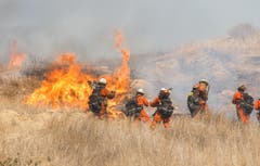 Feuerwehrleute löschen Buschbrände in Westhills. Die Brände begannen bereits am 8. November (Bild: EPA/EUGENE GARCIA, 11. November 2018)