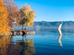Cham am See im Villettepark. (Bild: Roland Rau)