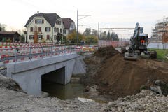 Mit dem Bagger werden letzte Arbeiten an der Uferböschung gemacht. (Bild: Sandro Büchler)