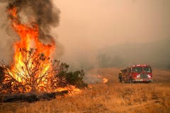 Die Feuerwehr versucht einen Hotspot in Malibu zu löschen. Bestärkt durch starke Winde haben die Brände 150 Häuser und riesige Landflächen verwüstet. (Bild: EPA/MIKE NELSON, 8. November 2018)