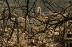 Foto aus einem ehemaligem Wohnwagen-Platz in Paradise. Die Rettungskräfte suchen nach Toten. (Bild: AP Photo/John Locher, 14. November 2018)