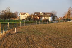 Oben an der Böschung wurden Bäume gepflanzt. (Bild: Sandro Büchler)