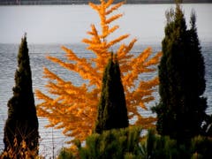 Stimmungsbild vom See in Luzern. (Bild: Anneliese Nagy, 12. November 2018)