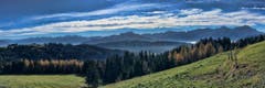Blick in den Alpstein auf den unteren Gäbris. (Bild: Toni Sieber)