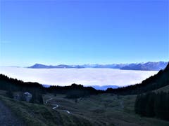 Wunderbare Aussicht von der Fräkmüntegg am Fusse des Pilatus auf das Nebelmeer und die Berge. (Bild: Urs Gutfleisch, 14. November 2018)