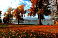 Herbststimmung rund ums Verkehrshaus. (Bild: Walter Buholzer, Luzern, 11.November 2018)