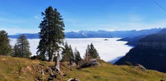 Noch liegt auf der Rigi kein Schnee, aber sie ist umringt von einem gewaltigem Nebelmeer. Blick in Richtung der Mythen. (Bild: Kurt Hägi, 15.11.2018)
