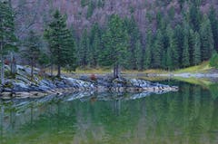 Morgenstille am Seealpsee. (Bild: Urs Fässler)