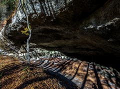 Die Salpeterhöhle bei Gossau präsentiert sich derzeit im schönsten Herbstlicht. (Bild: Wolfgang Reisser)
