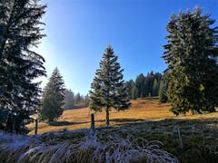 Traumhafte Landschaft untermalt durch die herbstliche Stimmung auf dem Glaubenberg. (Bild: Urs Gutfleisch (17. November 2018))
