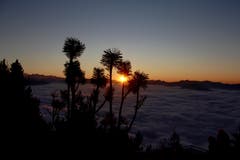 Sonnenuntergang über dem Nebelmeer. (Bild: Liliane Schweizer (Stanserhorn, 17. November 2018))