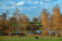Idyllischer Schlossweiher im Herbstkleid in Untereggen. (Bild: Jeannette Gabathuler)