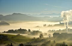 Nebel im Speicher/Vögelinsegg (Bild: Claudia Melotti Knöpfel)