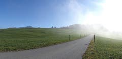 Beglückend im "Nebelgrenzbereich" auf dem Weg zur Hochalp (Bild: Walter Schmidt)