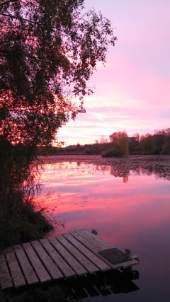 Stimmungsvolle Wasserfärbung auf dem Bettenauer Weiher. (Bild: Karin Tobler)