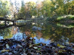 Wunderbares Herbstwetter am Bodelose Weiher in Münchwilen. (Bild: Stephan Lendi)