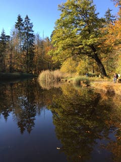 Herbststimmung am Gerzensee. (Bild: Beat von Holzen (Ennetmoos, 1. November 2018))