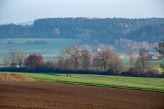Herbststille - Der Winter kann kommen. (Bild: Thomas Segenreich)