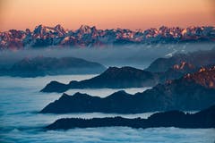 Drei Krokodile im Nebel. (Bild: Luciano Pau)