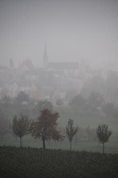 Blick im Nebel vom Schloss Dottenwil gegen Wittenbach. (Bild: Benedict Keel)