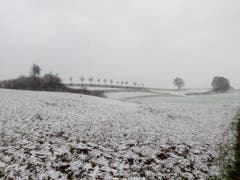 Der erste Schnee bei Berg/TG. (Bild: Michael Ziganke)