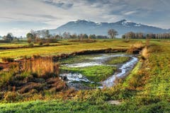 Bunter Herbst im Schollenriet (Bild: Toni Sieber)