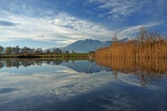Naturschutzgebiet Schollenriet. (Bild: Toni Sieber)