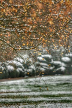 Herbst und Winter vereint. (Bild: Katharina Nagy)