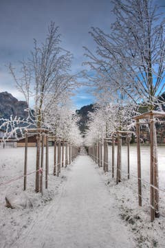 Der «Frosttunnel» in Engelberg. (Bild: Caroline Pirskanen (Engelberg, 21. November 2018))
