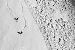 Abfahrt Weisshorn, Arosa, Graubünden, Schweiz; Bergführer Peter Gujan und Ursina Gujan