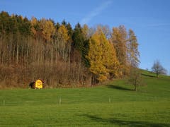 Gelbe Farbtupfer in Anwil, Fischingen: Bienenhaus und Lärchen im Herbstkleid. (Bild: Hubert Koch)