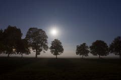 Vollmonduntergang im Morgennebel auf der Allmend Frauenfeld. (Bild: Urs Weingart)