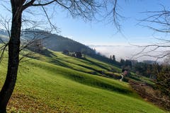 Blick von der Löschwendi, Degersheim, Richtung Nebelmeer. (Bild: Victor Schönenberger)
