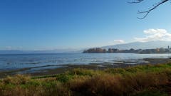 Wasserlandschaft bei Arbon. (Bild: Klaus Businger)