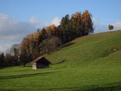 Goldener Spätherbst bei Anwil, Fischingen. (Bild: Hubert Koch)