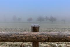 Frostiger Morgen auf dem Dreilindenweg in St. Gallen. (Bild: Christian Wild)