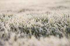 Ein frostiger Morgen in St. Gallen. (Bild: Franziska Hörler)