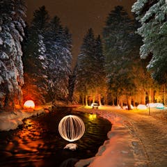 Auch beim Projekt «Zauberwald» auf der Lenzerheide mischt die Projektgruppe mit. (Bild: PD)