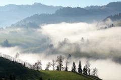 Durch das Napfgebiet ziehen Nebelschwaden. (Bild: Irene Wanner, 25. November 2018)