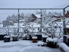Auch in Trogen blieb der Schnee liegen. (Bild: Hanspeter Schiess)