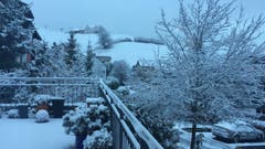 Der Ausblick vom Balkon auf die weisse St.Galler Solitüde. (Bild: Livia Grob)