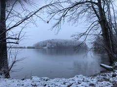Der Blick auf den St.Galler Gübsensee. (Bild: Martin Oswald)