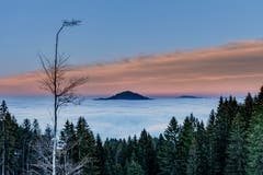 Urnäsch in Richtung Hochalp. (Bild: Luciano Pau)